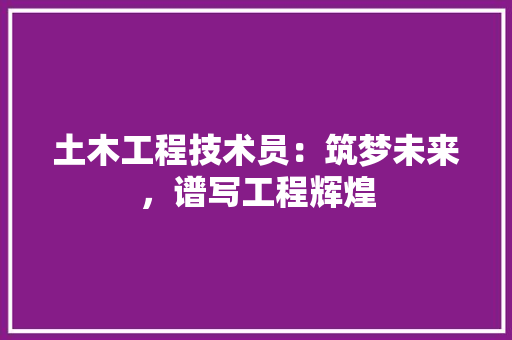 土木工程技术员：筑梦未来，谱写工程辉煌 现代风格装饰