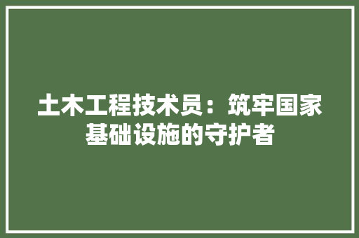 土木工程技术员：筑牢国家基础设施的守护者 现代风格装饰