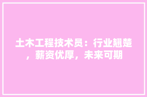 土木工程技术员：行业翘楚，薪资优厚，未来可期 现代风格装饰
