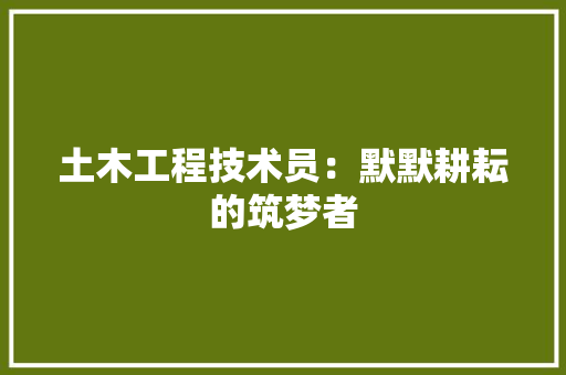 土木工程技术员：默默耕耘的筑梦者 现代风格装饰
