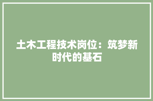 土木工程技术岗位：筑梦新时代的基石 现代风格装饰