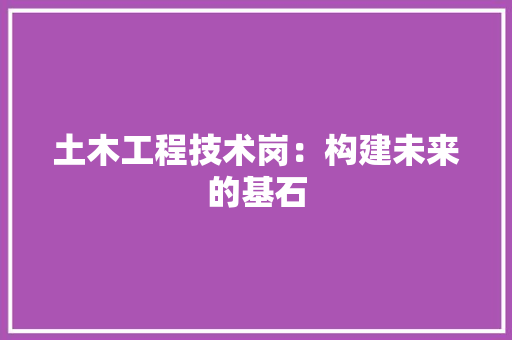 土木工程技术岗：构建未来的基石 现代风格装饰