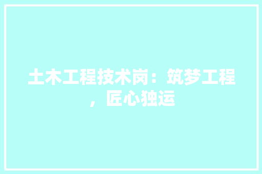 土木工程技术岗：筑梦工程，匠心独运 现代风格装饰