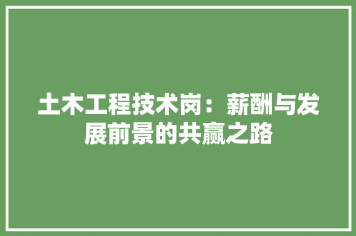 土木工程技术岗：薪酬与发展前景的共赢之路 现代风格装饰