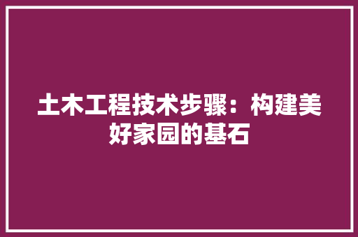土木工程技术步骤：构建美好家园的基石 现代风格装饰