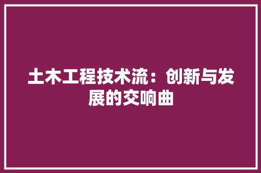 土木工程技术流：创新与发展的交响曲 现代风格装饰