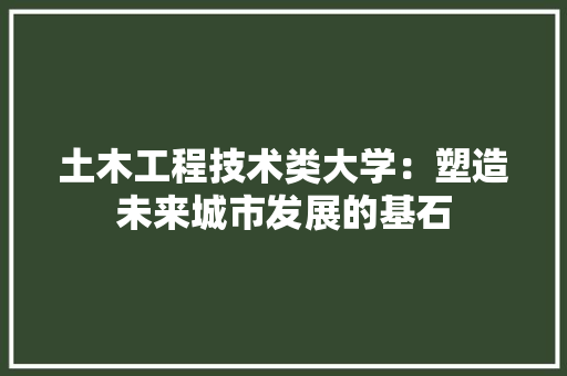 土木工程技术类大学：塑造未来城市发展的基石 现代风格装饰