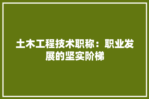 土木工程技术职称：职业发展的坚实阶梯 现代风格装饰
