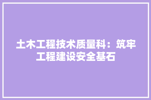 土木工程技术质量科：筑牢工程建设安全基石 现代风格装饰