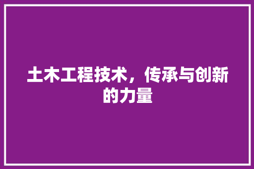 土木工程技术，传承与创新的力量 现代风格装饰