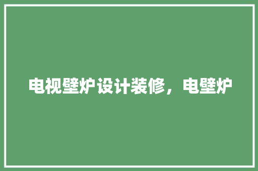 电视壁炉设计装修，电壁炉