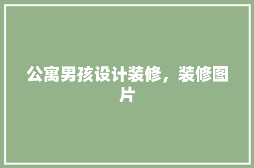 公寓男孩设计装修，装修图片