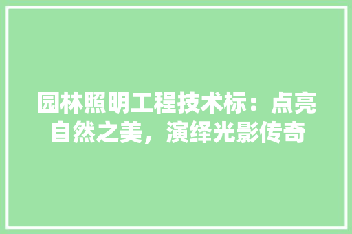 园林照明工程技术标：点亮自然之美，演绎光影传奇