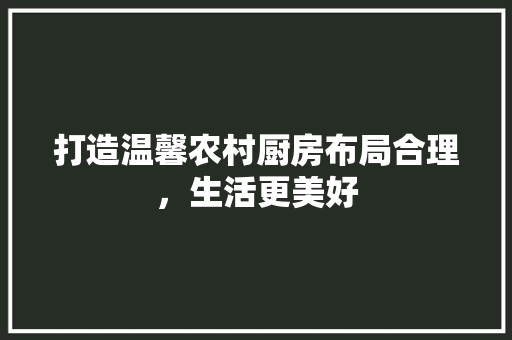 打造温馨农村厨房布局合理，生活更美好