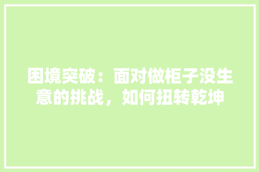 困境突破：面对做柜子没生意的挑战，如何扭转乾坤 现代风格装饰