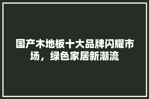 国产木地板十大品牌闪耀市场，绿色家居新潮流 现代风格装饰