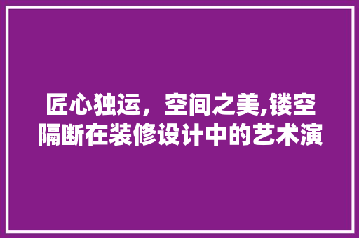 匠心独运，空间之美,镂空隔断在装修设计中的艺术演绎