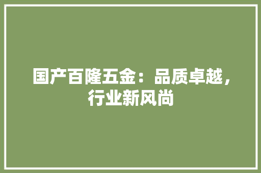 国产百隆五金：品质卓越，行业新风尚 现代风格装饰