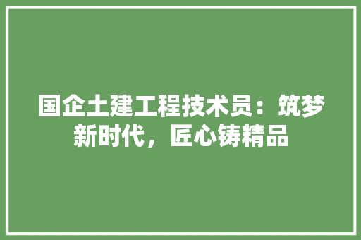国企土建工程技术员：筑梦新时代，匠心铸精品 现代风格装饰