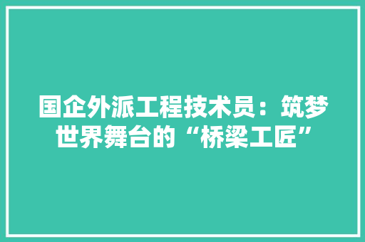 国企外派工程技术员：筑梦世界舞台的“桥梁工匠” 现代风格装饰