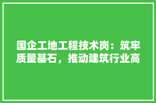 国企工地工程技术岗：筑牢质量基石，推动建筑行业高质量发展 现代风格装饰