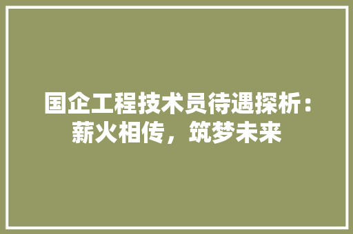 国企工程技术员待遇探析：薪火相传，筑梦未来 现代风格装饰