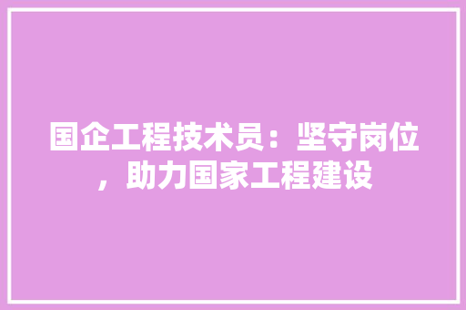 国企工程技术员：坚守岗位，助力国家工程建设 现代风格装饰