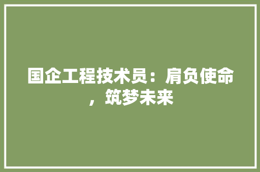 国企工程技术员：肩负使命，筑梦未来 现代风格装饰