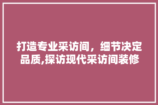 打造专业采访间，细节决定品质,探访现代采访间装修设计之路