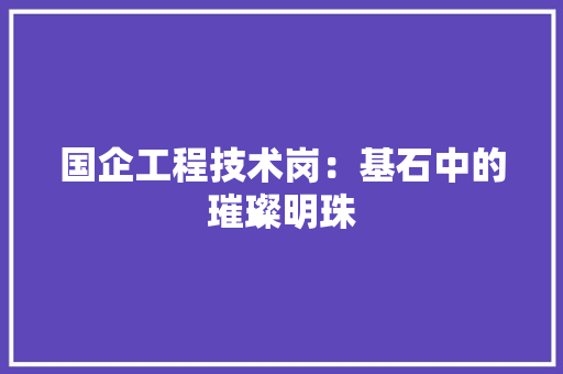 国企工程技术岗：基石中的璀璨明珠 现代风格装饰