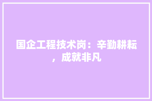 国企工程技术岗：辛勤耕耘，成就非凡 现代风格装饰