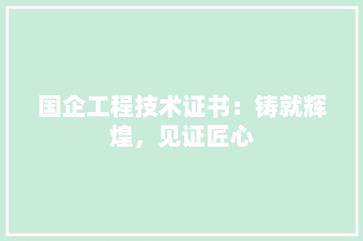 国企工程技术证书：铸就辉煌，见证匠心 现代风格装饰
