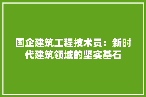 国企建筑工程技术员：新时代建筑领域的坚实基石 现代风格装饰