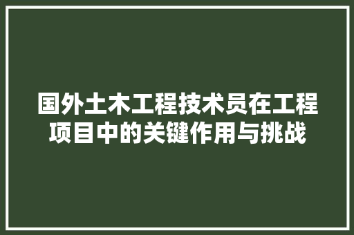 国外土木工程技术员在工程项目中的关键作用与挑战