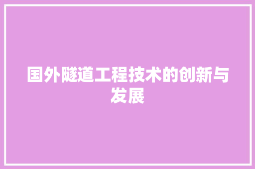国外隧道工程技术的创新与发展 现代风格装饰