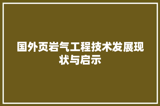 国外页岩气工程技术发展现状与启示