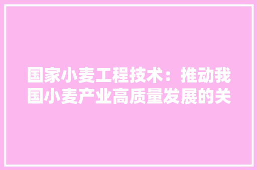 国家小麦工程技术：推动我国小麦产业高质量发展的关键力量