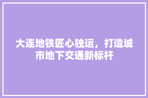 大连地铁匠心独运，打造城市地下交通新标杆