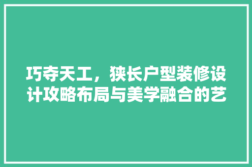 巧夺天工，狭长户型装修设计攻略布局与美学融合的艺术
