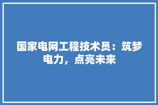 国家电网工程技术员：筑梦电力，点亮未来 现代风格装饰