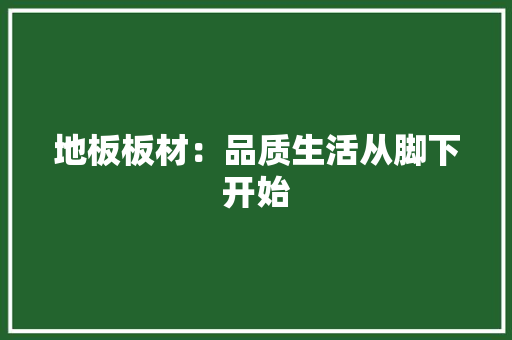 地板板材：品质生活从脚下开始 现代风格装饰