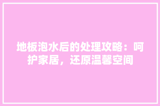 地板泡水后的处理攻略：呵护家居，还原温馨空间