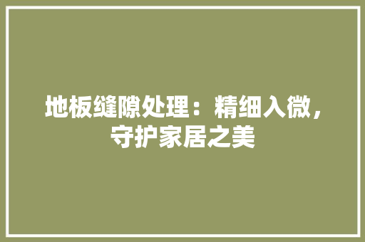 地板缝隙处理：精细入微，守护家居之美 现代风格装饰