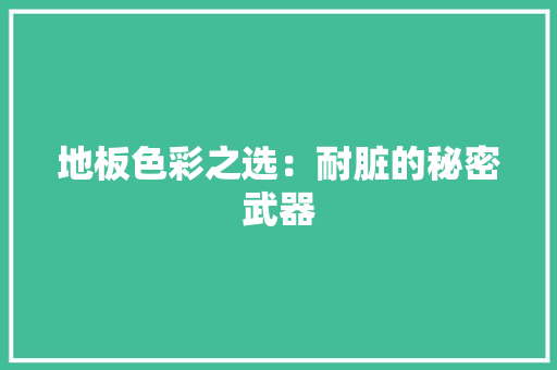 地板色彩之选：耐脏的秘密武器 现代风格装饰