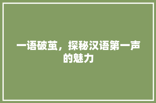 一语破茧，探秘汉语第一声的魅力