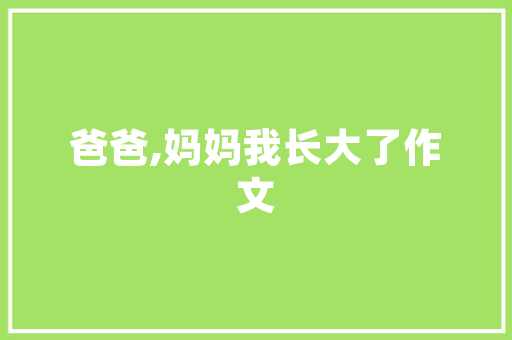 地流平工程技术：打造高品质地坪的关键路径 现代风格装饰
