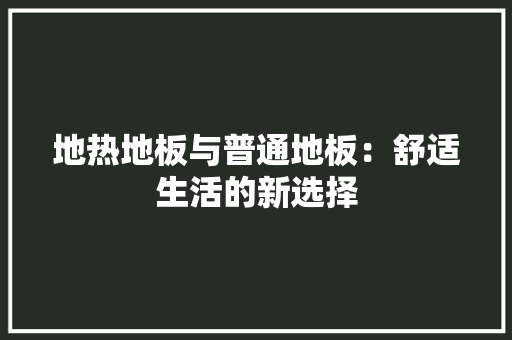 地热地板与普通地板：舒适生活的新选择 现代风格装饰