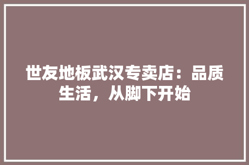 世友地板武汉专卖店：品质生活，从脚下开始 家居装修