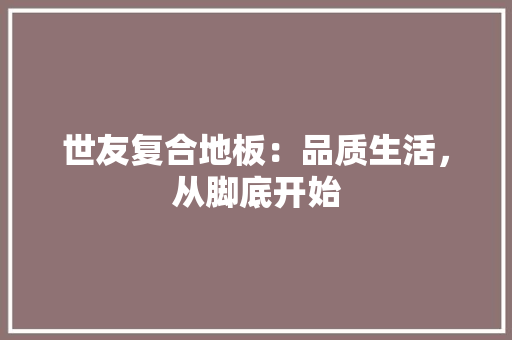 世友复合地板：品质生活，从脚底开始 家居装修