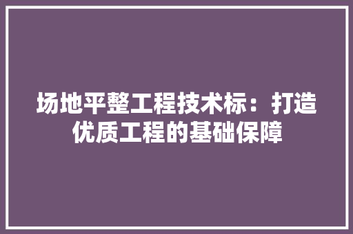 场地平整工程技术标：打造优质工程的基础保障 现代风格装饰
